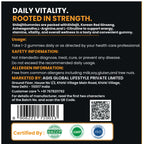 AGIS Shilajit Gummies - Blueberry, 30 Gummies