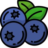Blueberry Blast